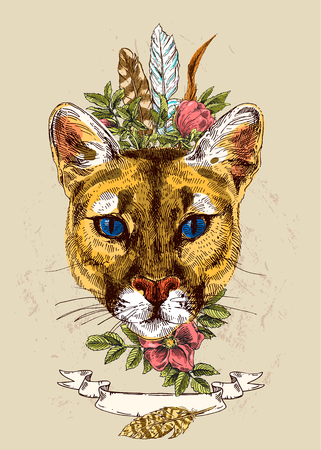mountain lion sketch illustrationのイラスト素材