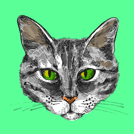 illustration portrait of catの写真素材