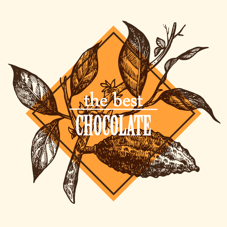 sketch  illustration chocolateのイラスト素材