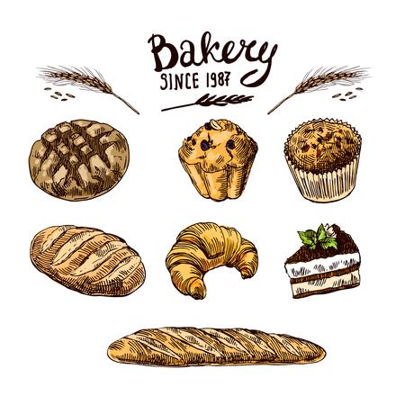 Hand drawn vector illustration bakery.のイラスト素材