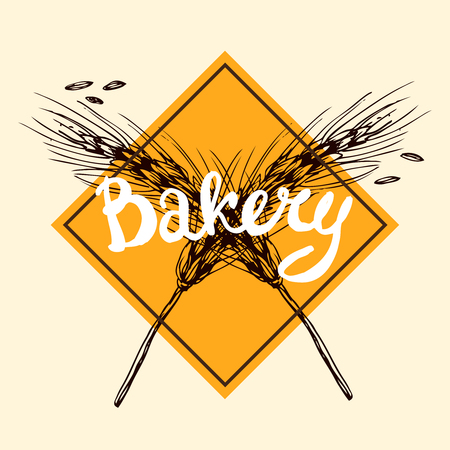 Hand drawn vector illustration bakery.のイラスト素材