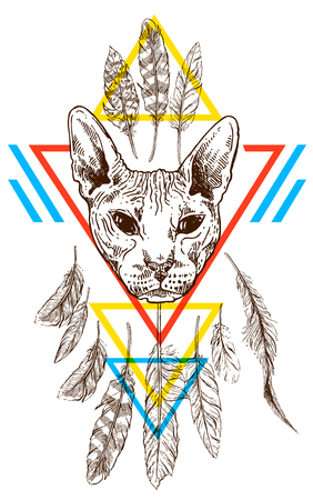 sketch portrait of bald catのイラスト素材