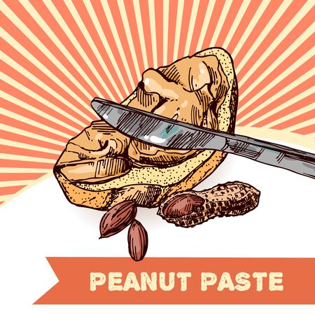 Peanut sketch illustration. Hand drawn beautiful set of groundnut.のイラスト素材