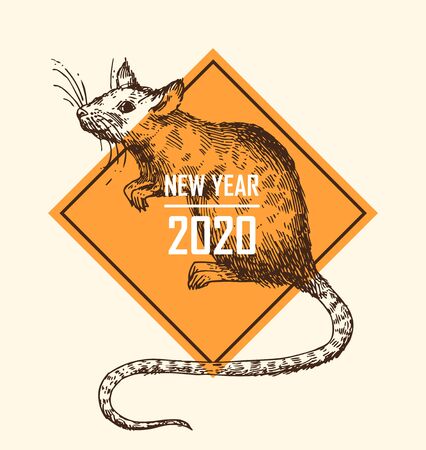 Rat sketch vector illustrations. Hand drawn picture with mouse.のイラスト素材