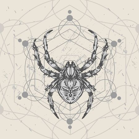 Spider and sacred geomerty  sketch vector  illustration. Hand drawn style picture.のイラスト素材