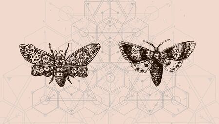 Butterfly and sacred geometry. Hand drawn vector illustration could be used for textile,  yoga mat, phone case, t-shirt, etcのイラスト素材