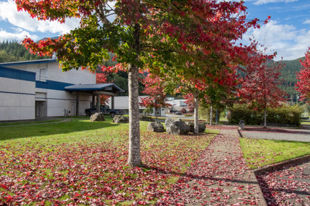 Sayward, Canada - October 7,2020: View of a parking lot at the entrance of local school in Sayward, Canada with school bus in the backgroundのeditorial素材