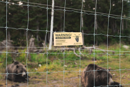 View of a warning sign about an electric fence within the Grizzly Bear Habitat at the top of Grouse...