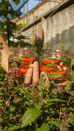 a woman makes preparations for the winter: dried tomatoes, chopped garlic and fresh basil are put into sterile jars to fill them with olive oil. harvestの写真素材