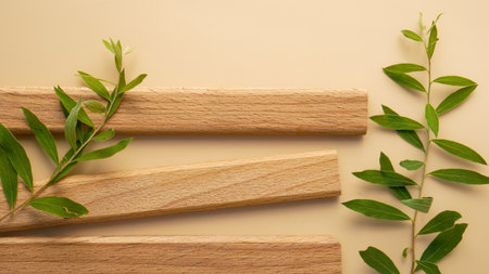 blank for your design. wooden planks lie in green branches of plant on single tone beige background. close up, copy space. soft shadows, mok ap, background for your productの写真素材
