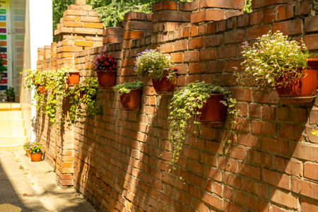 installation of flower pots to decorate a brick wall outdoors. outdoor potted plants, home and yard...