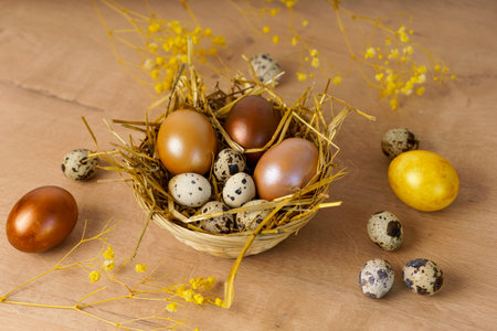 Painted Easter eggs lie in wicker basket on a wooden tabletop. There are spring flowers around,...