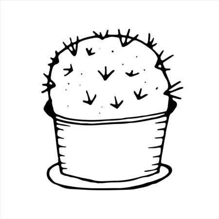 vector isolated element in doodle style, houseplant - cactus in a pot, coloring bookのイラスト素材