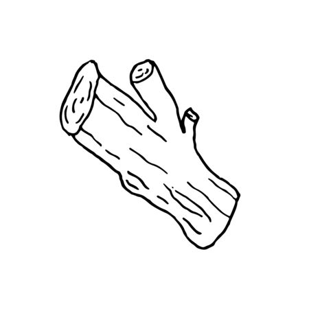 vector isolated element, ancient, branch in doodle style without backgroundのイラスト素材