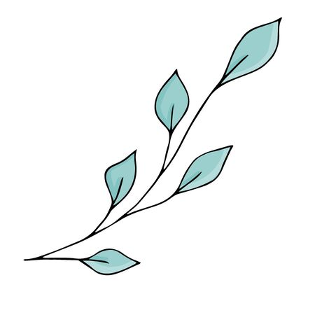 doodle style vector element, pattern, green cute twig with leaves, coloring bookのイラスト素材