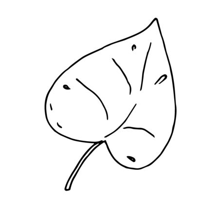 doodle style vector element, pattern, cute twig with leaves, coloring bookのイラスト素材