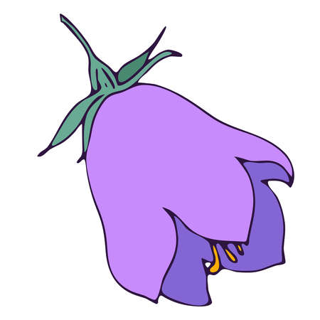 bell flower, doodle style vector element, freehand color botanical illustrationのイラスト素材