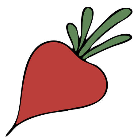 autumn harvest from the garden from the garden - red radish in doodle style, black outlineのイラスト素材