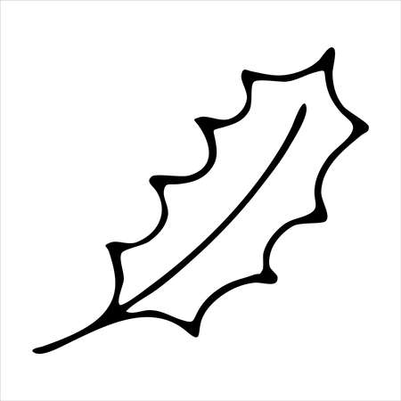 holly, holly, christmas plant, christmas symbol, cute winter doodles, coloring book, doodle style vector elementのイラスト素材