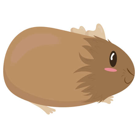 cute fluffy brown guinea pig, side view, cute domestic rodent, vector illustration in flat styleのイラスト素材