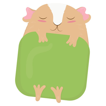 cute beige guinea pig with white fur on the face with pink ears and cheeks lies under a green blanket and sleeps, cute domestic rodent, vector illustration in flat styleのイラスト素材
