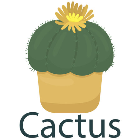 cactus with prickly needles in a pot vector illustration, vector element in flat style.のイラスト素材