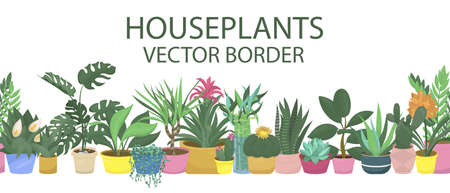 ground plant, echeveria, spathiphyllum, aloe and haworthia, guzmania and dieffenbachia, sansevieria, houseplant - vector seamless horizontal borderのイラスト素材