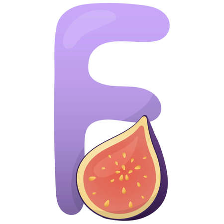 Letter F and figs on a white background, training card. English vocabulary and alphabet, vector for children, learning aid in kindergarten and schoolのイラスト素材