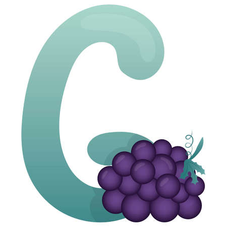 Letter G and grapes on a white background, training card. English vocabulary and alphabet, vector for children, learning aid in kindergarten and schoolのイラスト素材