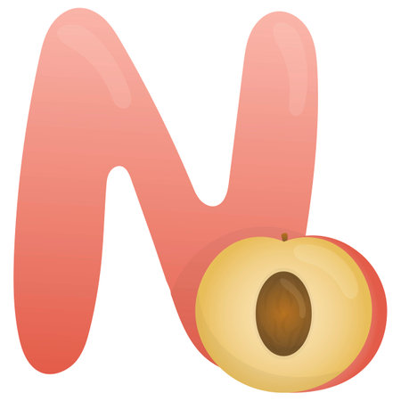 Letter N and nectarine on a white background, educational card. English vocabulary and alphabet, vector for children, learning aid in kindergarten and schoolのイラスト素材