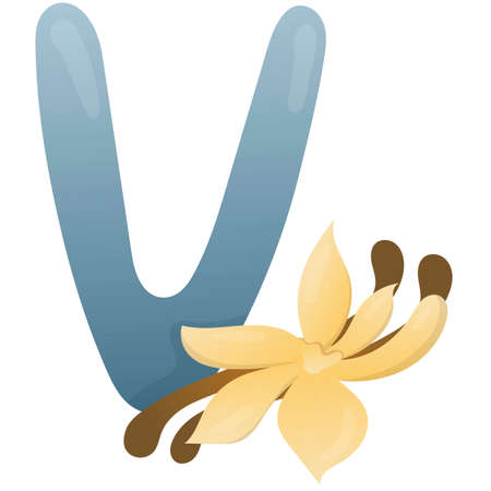 Letter V and stick and vanilla flower on a white background, training card. English vocabulary and alphabet, vector for children, learning aid in kindergarten and schoolのイラスト素材