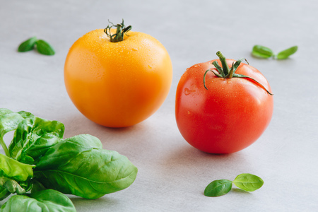 One yellow and one red organic tomatoes and basil leaves with water dropsの写真素材