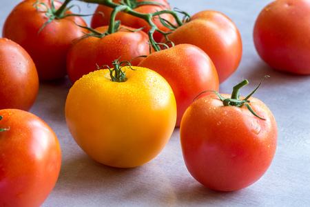 One yellow and red tomatoes on a table with water dropsの写真素材