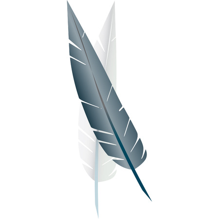 white goose feathers used to stuff pillowsのイラスト素材