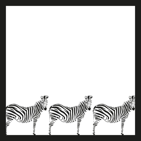 drawing of a zebra on the African savannahのイラスト素材