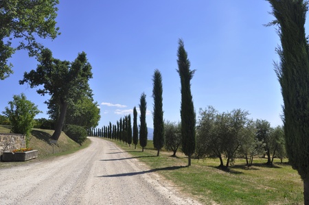 toscanaの写真素材