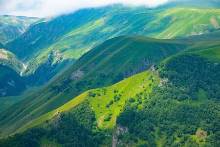 Beautiful mountainous area of Georgia. Summer landscape. Green grassy mountainsの写真素材
