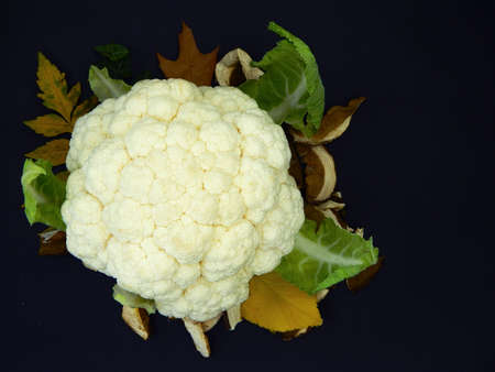 Autumn background with cauliflower, dried porcini mushrooms and autumn leaves. Composition of autumn mushrooms, cauliflower and leaves on a black background.の写真素材