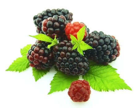 Ripe large blackberry with raspberry on white background