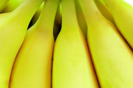 Many ripe yellow bananas close upの写真素材