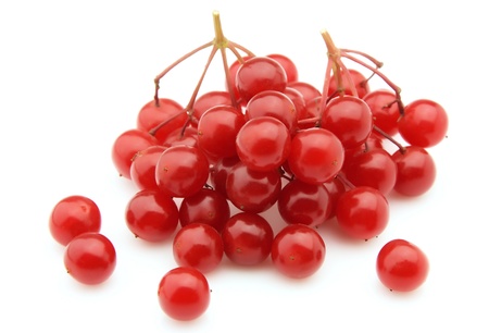 Sweet viburnum berry closeup の写真素材