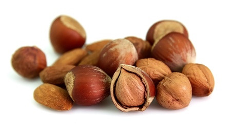 Filbert and almond on white background 