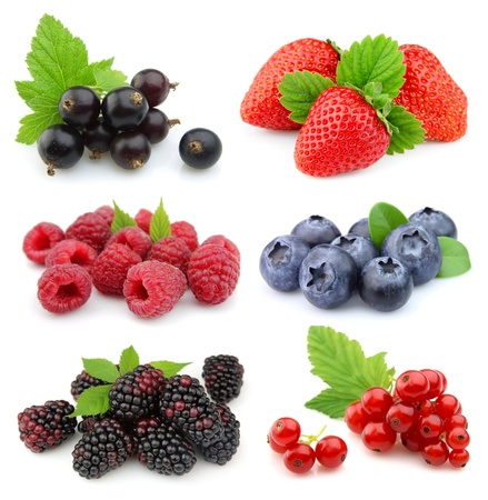 Sweet berries: strawberry, blackberry,blueberry,red currant,raspberry,black currant Sweet berries: strawberry, blackberry,blueberry,red currant,raspberry,black currant