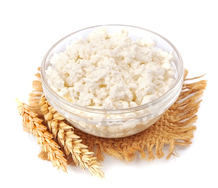 fresh cottage cheese with wheat on whiteの写真素材