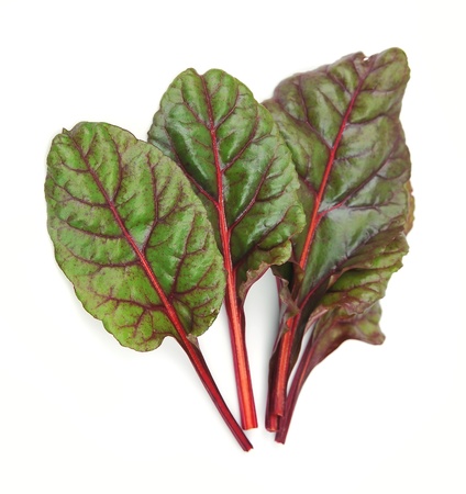 Sweet beet leafs mangold  on white の写真素材