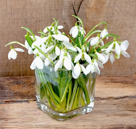 Spring snowdrop flowers on wooden background Forest flowers  Spring flowersの写真素材