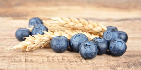 Blueberries with wheat on wooden background の写真素材