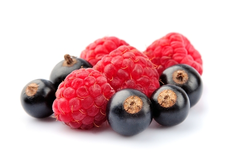 Raspberries and blackcurrant closeup on white background .の写真素材