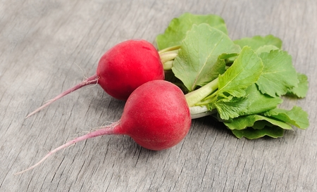 Fresh radishes on wooden textureの写真素材