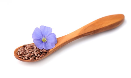 Flax seeds and flax flowers closeup on white backgrounds.の写真素材